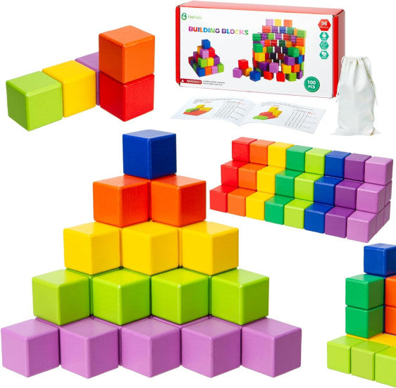 BUILDING BLOCKS 100 PCS